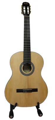Акустическая гитара Ditson G-10 — Гитары SIGMA