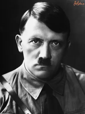 Общественную палату возмутил портрет Гитлера, вывешенный на московском  проспекте
