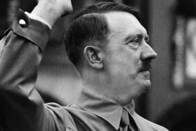 Раскрытие покажет: какими были последние дни Адольфа Гитлера | Статьи |  Известия