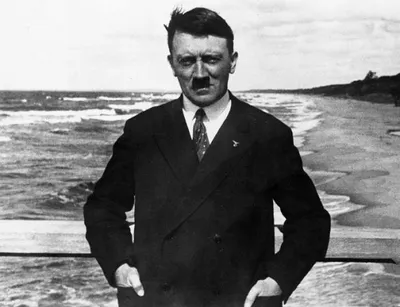 Гитлер или Шикльгрубер: рассказываю, какую на самом деле носил фамилию  \"фюрер\" | Этобаза | Дзен