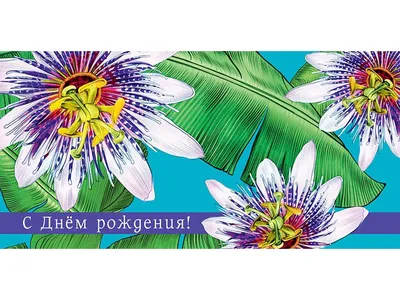 Купить Цветы с днем рождения \"Рыжие деньки\" в Москве по 3200 ₽ арт – 31590