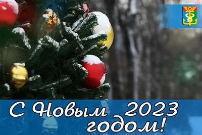 С наступающим Новым Годом, дорогие друзья! • Чеколад • Сладкие и мужские  букеты в СПб