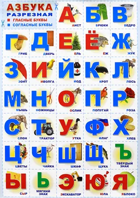 Учебный плакат \"Русский алфавит\": Формат А2 – купить по цене: 95 руб. в  интернет-магазине УчМаг