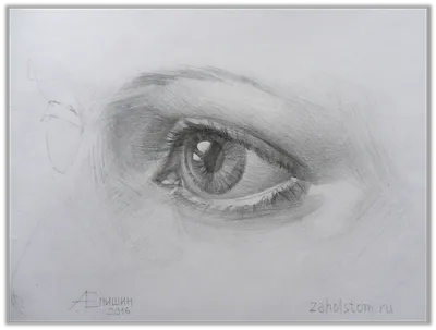 Как рисовать глаза? Рисунок глаза карандашом от «а» до «я» | Уроки  рисования. Я УЧУСЬ РИСОВАТЬ. | Дзен