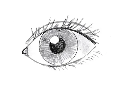 Глаза карандашом поэтапно для начинающих для портрета (22 шт)