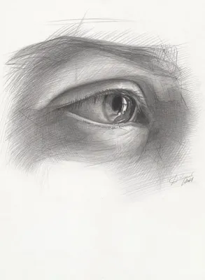 Рисунки глаза карандашом легкие для срисовки - 61 фото