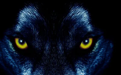 Глаза волка стоковое изображение. изображение насчитывающей млекопитающее -  58952897