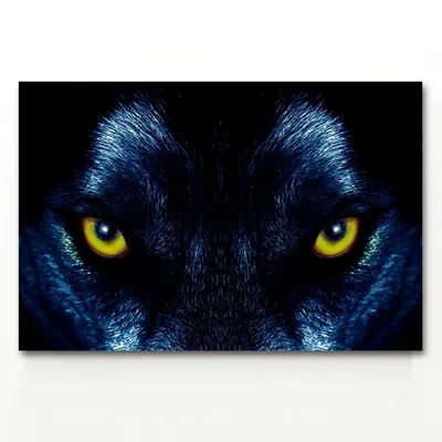 Наклейка на отражатель Глаза волка (ID#494093154), цена: 106 ₴, купить на  Prom.ua