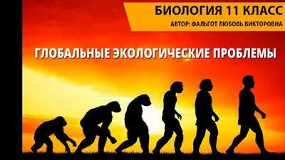 Глобальные экологические проблемы и их источники