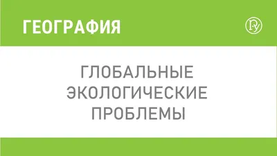 Россияне назвали главные экологические проблемы страны — РБК