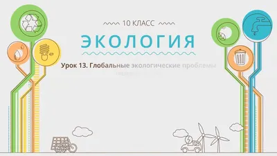 Курсовая Экологические проблемы. | Essays (university) Ecology and  Environment | Docsity