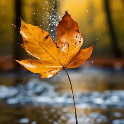 Глубокая осень.лес.деревья стоят …» — создано в Шедевруме