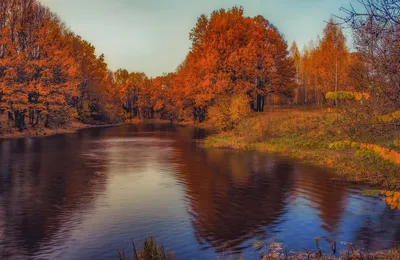 Рисунок Глубокая осень - «Осенняя пора - очей очарованье...»  (№411583-13.10.2023 - 16:34)