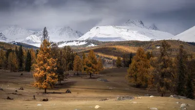 Глубокая осень — Алтайский биосферный заповедник