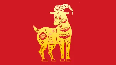 Год Козы (Овцы): какие года, когда будет, описание, характеристика знака по  китайскому (восточному) гороскопу