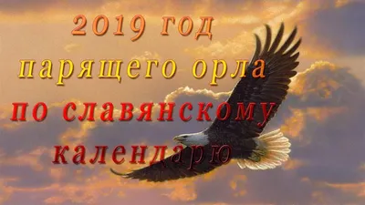 Год парящего орла (Ольга Вяргизова) / Стихи.ру