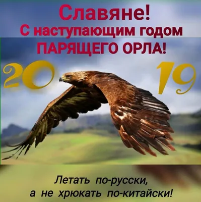 2019 год - год ПАРЯЩЕГО ОРЛА! - 101 Мотострелковый полк