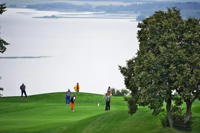Газон для гольфа в Москве: купить идеальный газон для гольфа по цене  производителя - Мир газонов