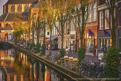 7 вещей, которые меня удивили в Голландии