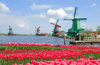 Обои амстердам, нидерланды, раздел Природа, размер 2560x1600 Wide - скачать  бесплатно картинку на рабочий стол и телефон