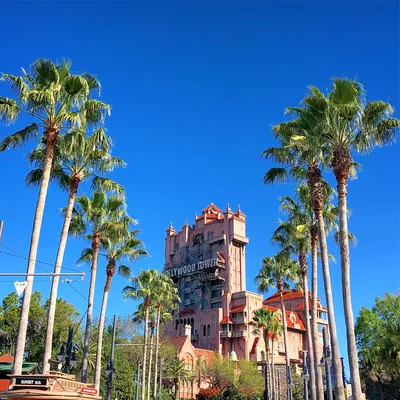 Скачать обои Калифорния, сша, Лос-Анджелес, Los Angeles, California, united  states, Знак Голливуда, Hollywood sign, раздел город в разрешении 4928x3264