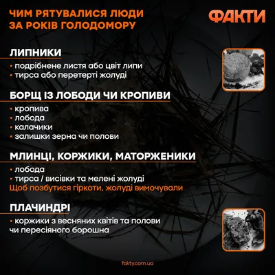 В Украине показали статистику жертв Голодомора по регионам - ХВИЛЯ