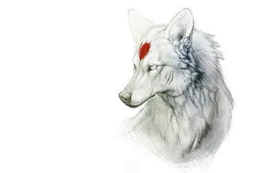 логотип голова волка, png | PNGWing