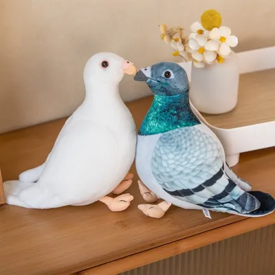 Биолог обучил голубя сортировать картинки вместо нейросети - Газета.Ru |  Новости