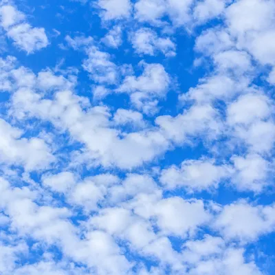 Прозрачные открытки и красивые стихи 7 сентября в Международный день  чистого воздуха для голубого неба | Курьер.Среда | Дзен