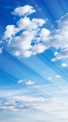 Международный день чистого воздуха для голубого неба в 2023 году
