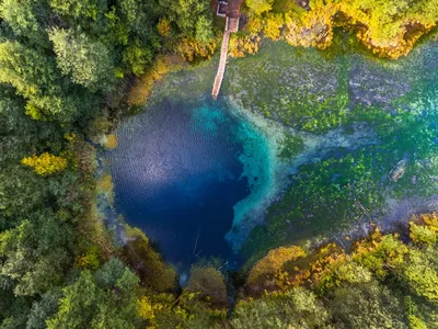 голубые пузыри и мыльные пузыри обои, пузырь, вода, капли фон картинки и  Фото для бесплатной загрузки