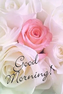 25 Beautiful Good Morning Heart Pictures - Morning Greetings – Morning  Quotes And Wishes Images | Good morning kisses, Good morning love, Good  morning quotes