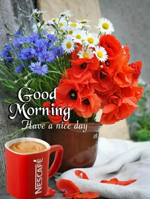 250+ Best Good Morning HD Images, Wishes, Pictures and Greetings | Good  morning greetings, Good morning quotes, Good morning greeting cards