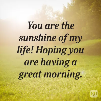 Good Morning Sunshine Stock Photos and Pictures - 19,174 Images |  Shutterstock