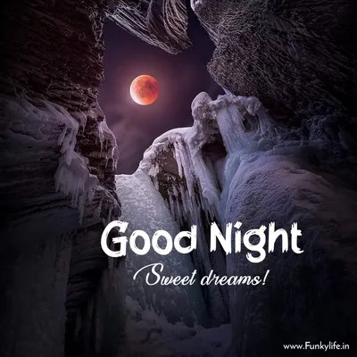 Good Night World. Sweet Dreams! #grandmasfollies #grandma #sweetdreams # goodnight | Instagram