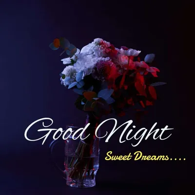 35+ Lovely Good Night Images Free Download - UsefulStep
