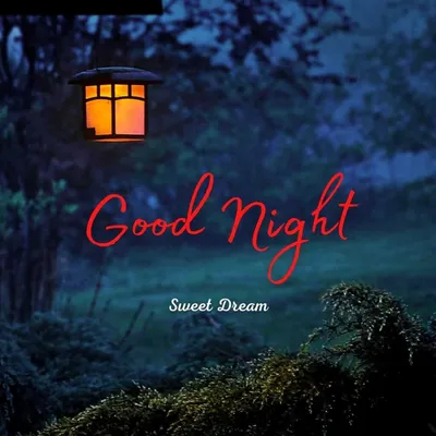 137 + Most Beautiful Good Night Images (2024) Download