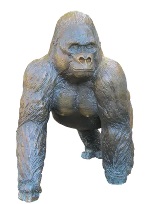 на этой картинке изображена горилла сидящая внутри, черная горилла с  большим телом, Hd фотография фото, глава фон картинки и Фото для бесплатной  загрузки