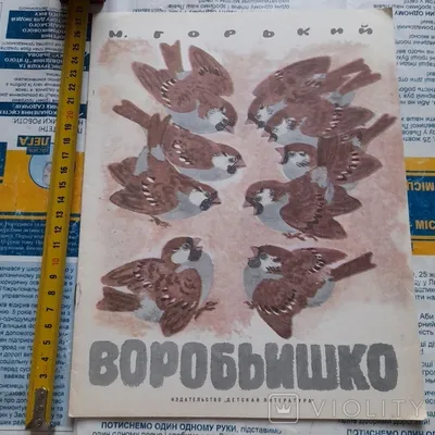 Горький \"Воробьишко\" 1983 - «VIOLITY»