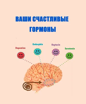 Гормоны счастья: объясняем, почему вкусная еда поднимает настроение — ЯСИА