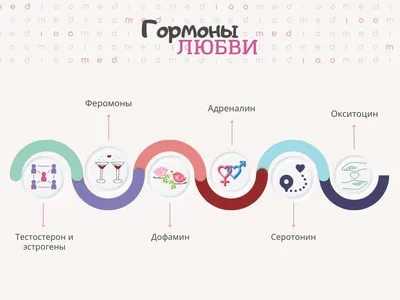 Биоидентичные гормоны, когда и как долго можно принимать — Клиника  Perfecto-Room в Киеве