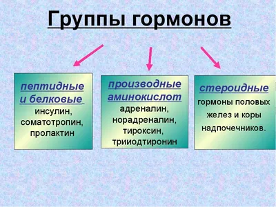 Это все гормоны! Зачем нашему телу скрытые механизмы и как с ними поладить,  Елена Березовская – скачать книгу fb2, epub, pdf на ЛитРес