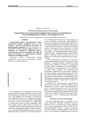 Структура Благовещенской городской Думы | Благовещенская городская Дума