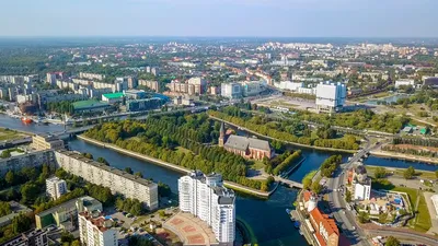 Глупости»: в Калининграде не оценили инициативу Эстонии сделать город  Кенигсбергом - Газета.Ru