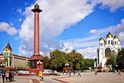 Что посмотреть в Калининграде? Главные достопримечательности города |  Фабрика Горящих туров - путешествия, туризм | Дзен