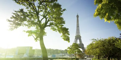 Что посмотреть в Париже, описание города, интересные места и  достопримечательности