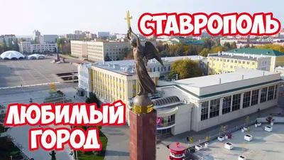 В Ставрополе ко Дню города украсили около 300 остановок общественного  транспорта :: 1777.Ru