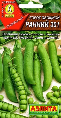 Горох овощной Русский гигант 25г, семена | Купить в интернет магазине Аэлита