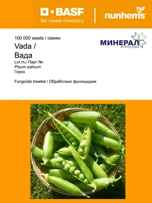 Горох овощной Сладкое детство 25г, семена | Купить в интернет магазине  Аэлита