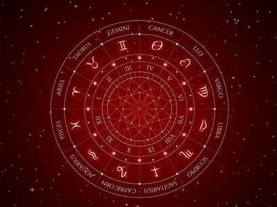 Бизнес-гороскоп на 2024 год для всех знаков зодиака: деньги, работа,  карьера | Ozon медиа